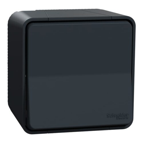 Interrupteur va-et-vient saillie Mureva Styl, SCHNEIDER ELECTRIC, anthracite